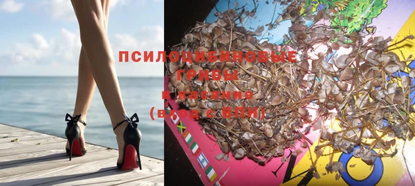 метадон Елизово