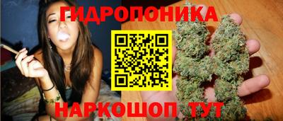 МДПВ Дубна
