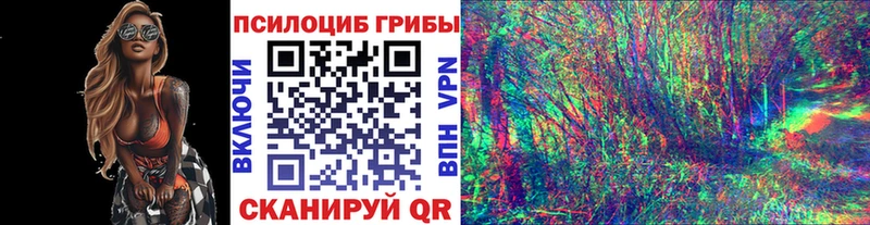 Галлюциногенные грибы Psilocybine cubensis  кракен ТОР  Протвино 