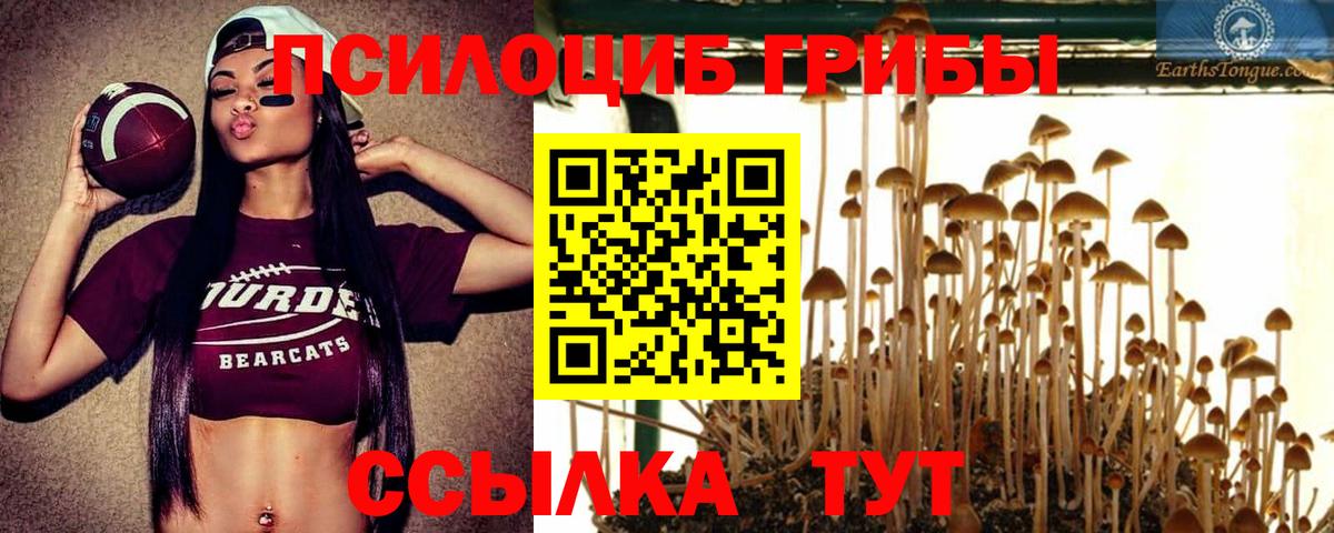 Протвино  Псилоцибиновые грибы Psilocybine cubensis  Псилоцибиновые грибы MAGIC MUSHROOMS  Вход с VPN 